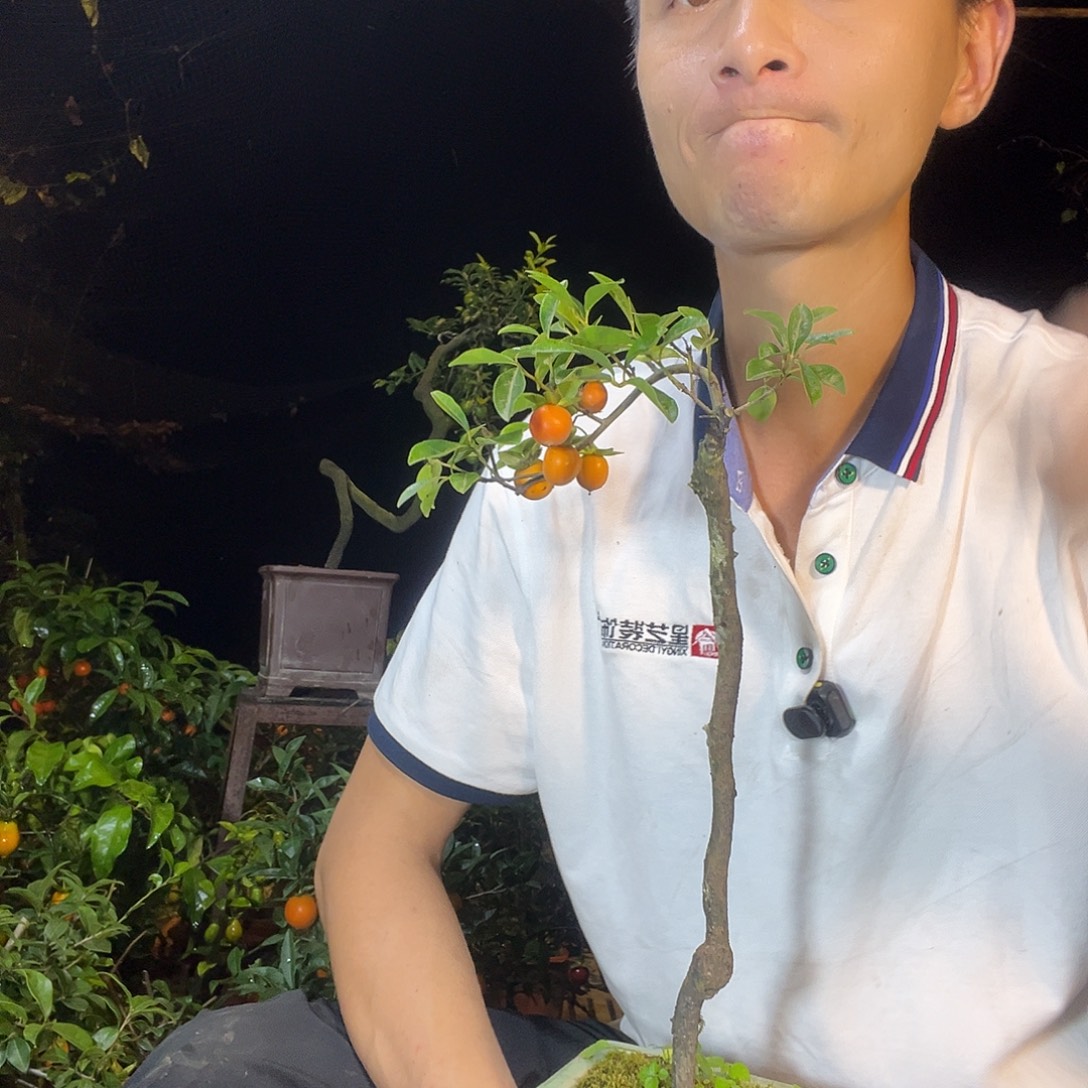 战***佛无花朵是因为有的就可以得到