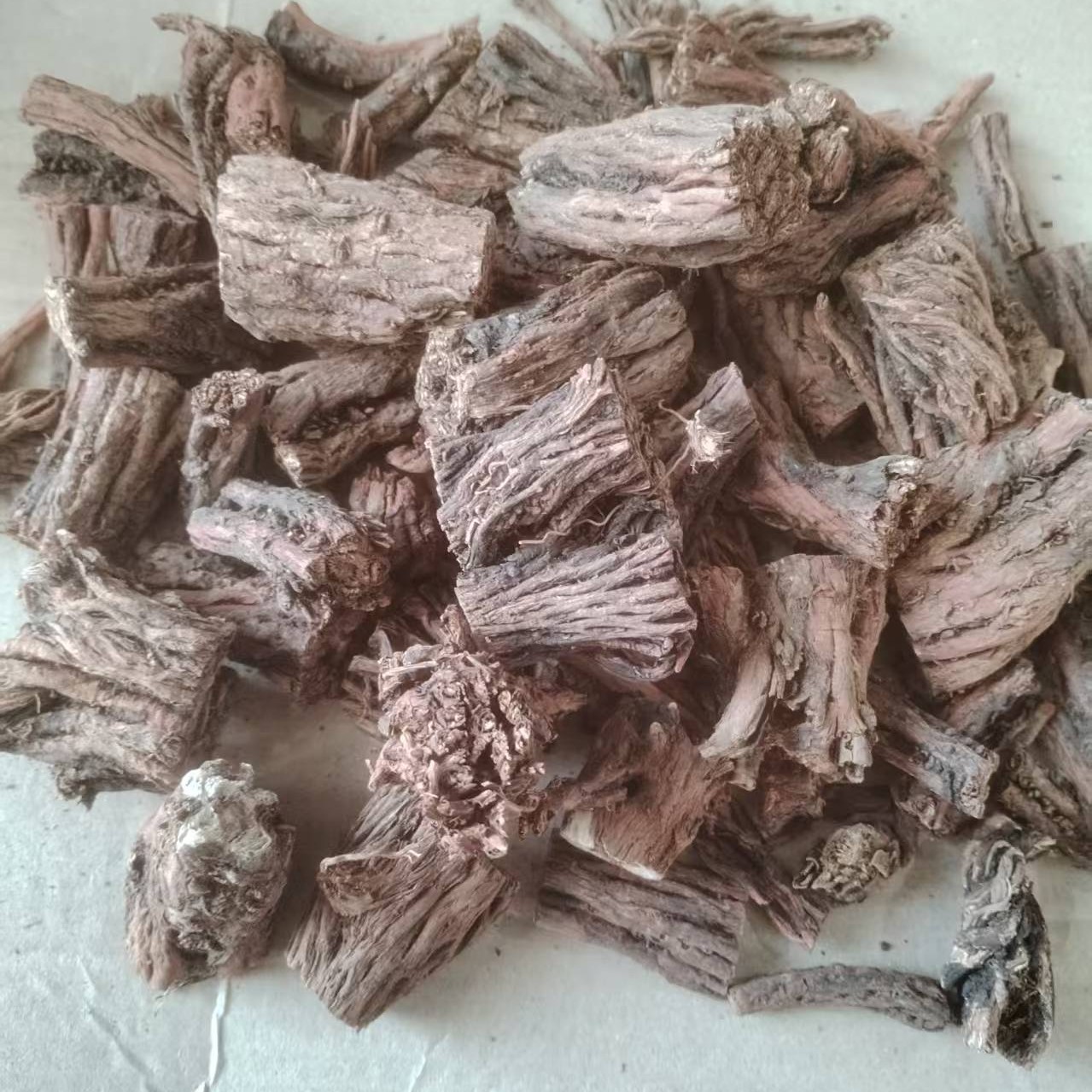 老丹参    野外生长    人工挑选     