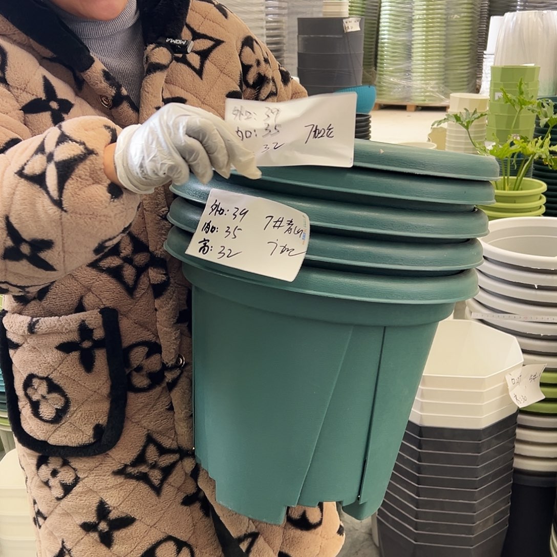 青山盆7#墨绿色5个无托