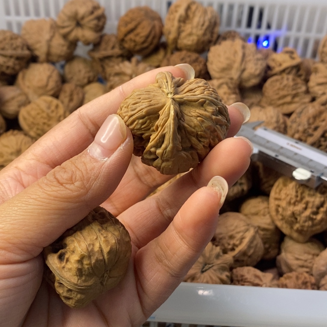 默***闻文玩核桃吊坠白狮子