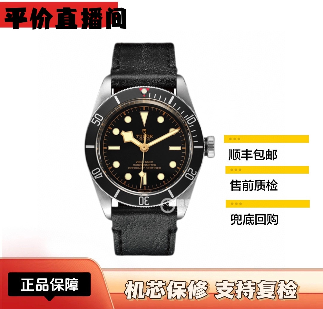 99新 TUDOR/帝舵 碧湾79230男表/41mm