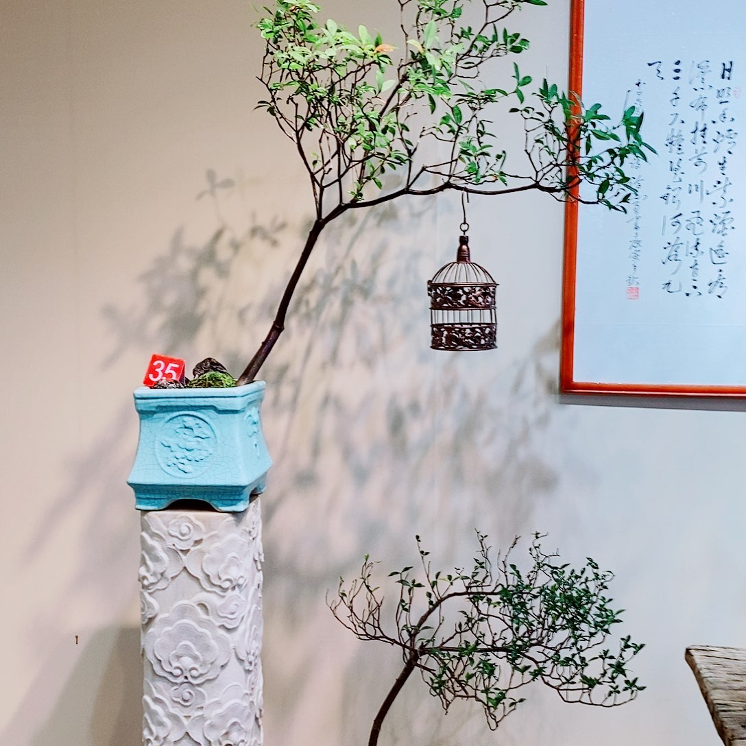 海岛春花一物一拍