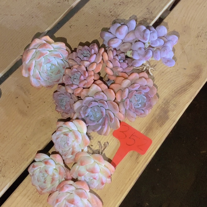 我都是想去吃好吃