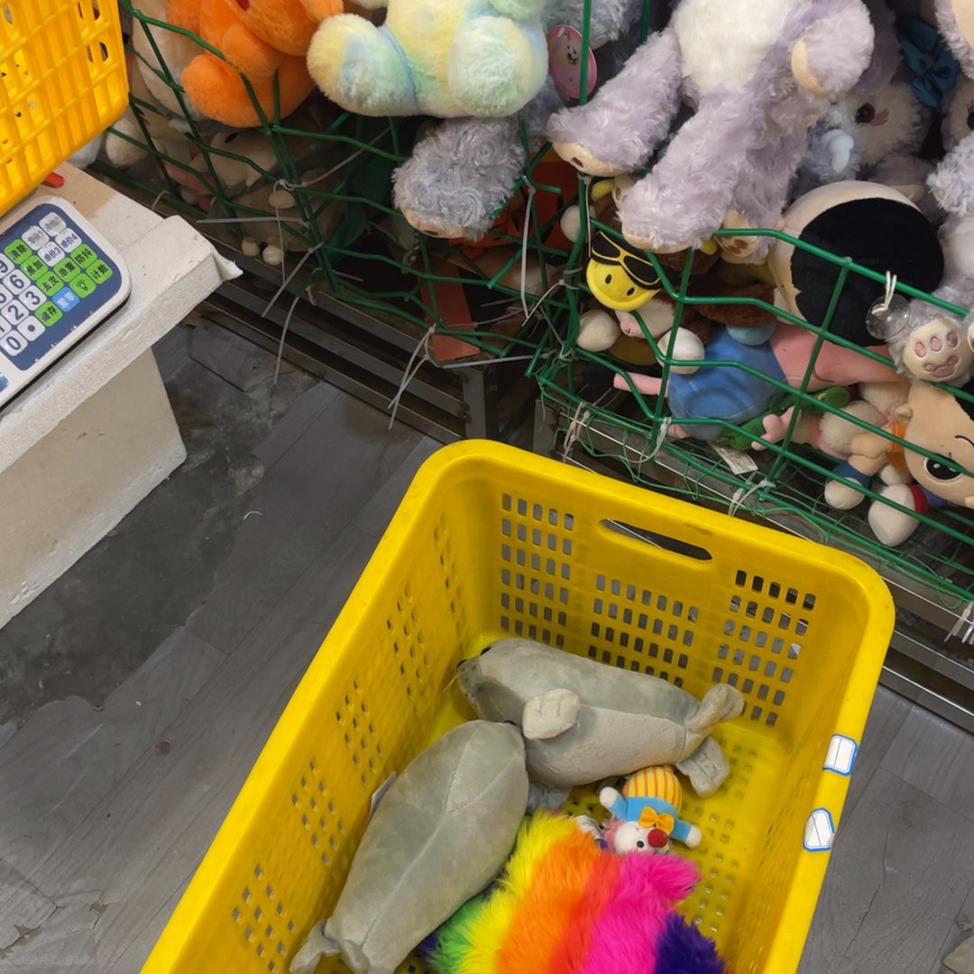 毛绒56000000000000000