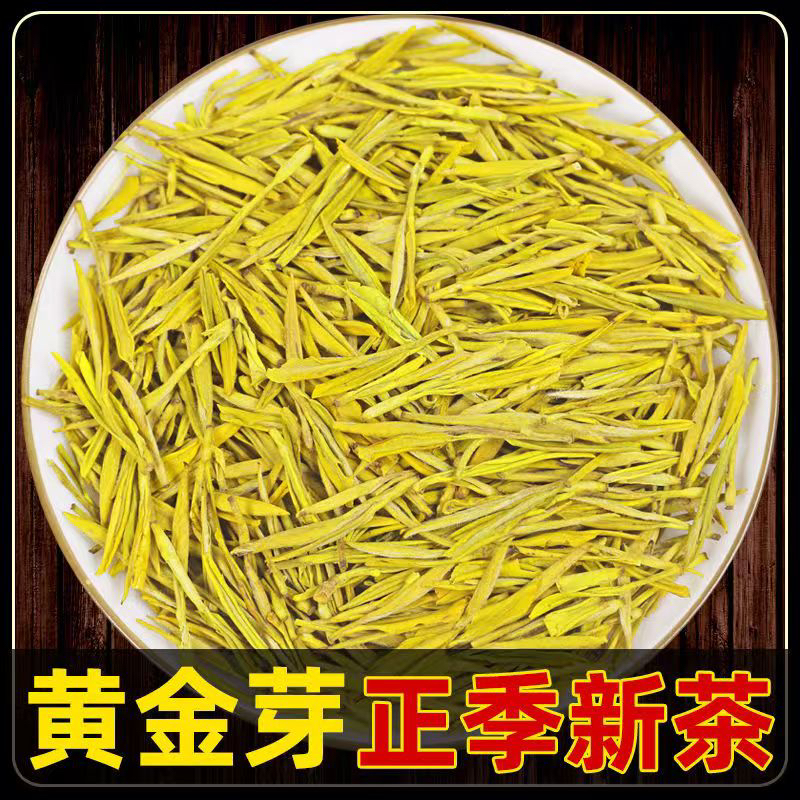 2025新茶黄金芽绿茶茶叶250克