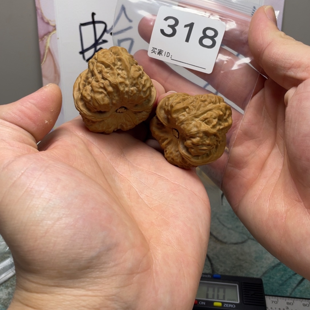 点***@核桃蛤蟆头文玩318