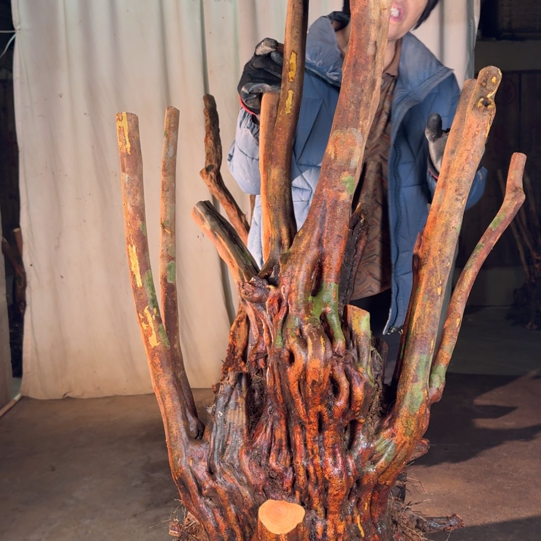 温***司888888888888888888