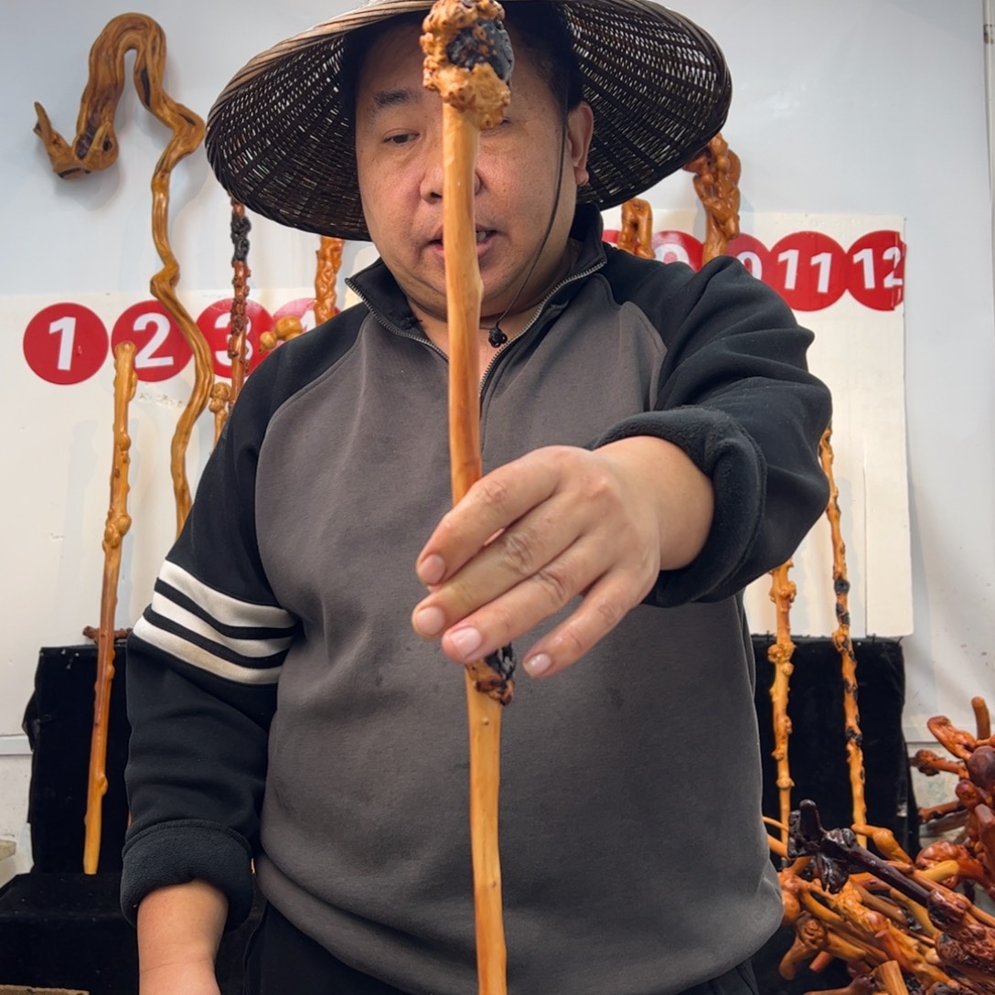 其他黑果木黑果木595