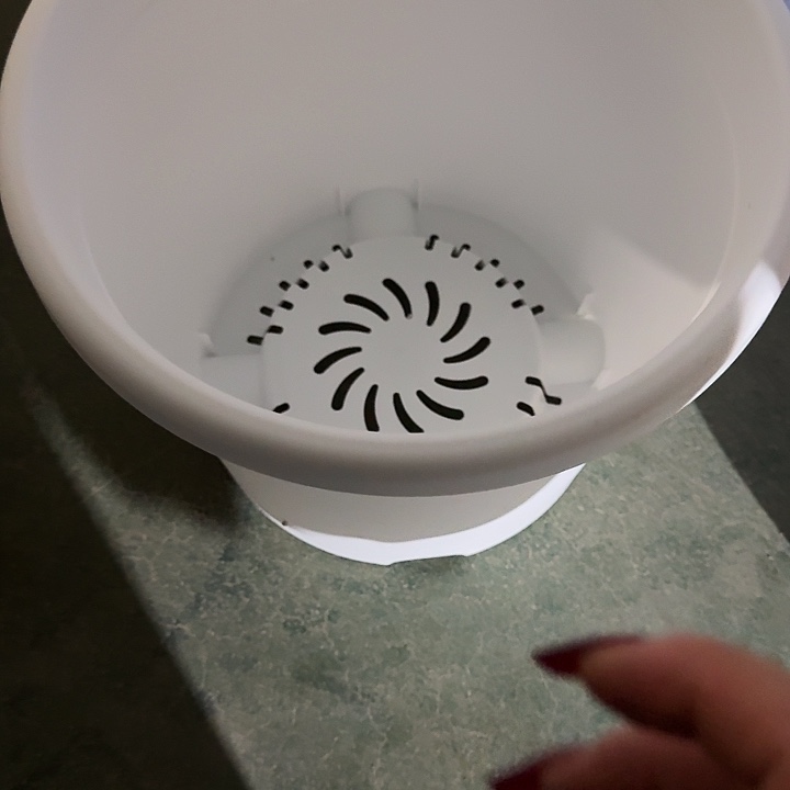 四季5号纯白带托10套特价微瑕