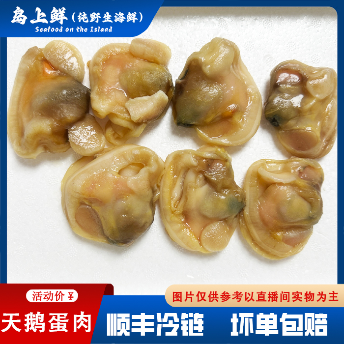 【天鹅蛋整肉】大蛤肉/生腌辣炒白灼炖煮都好吃/薄冰衣/大小混装