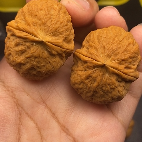 文玩核桃把件40尺元宝