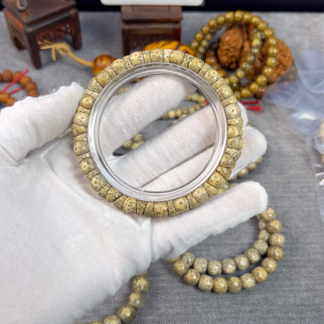 星月菩提手串开播福利 大肠 卡9左右