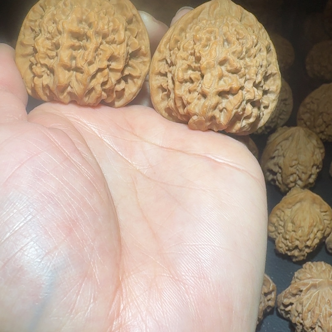 木质类麒麟纹官帽88文玩