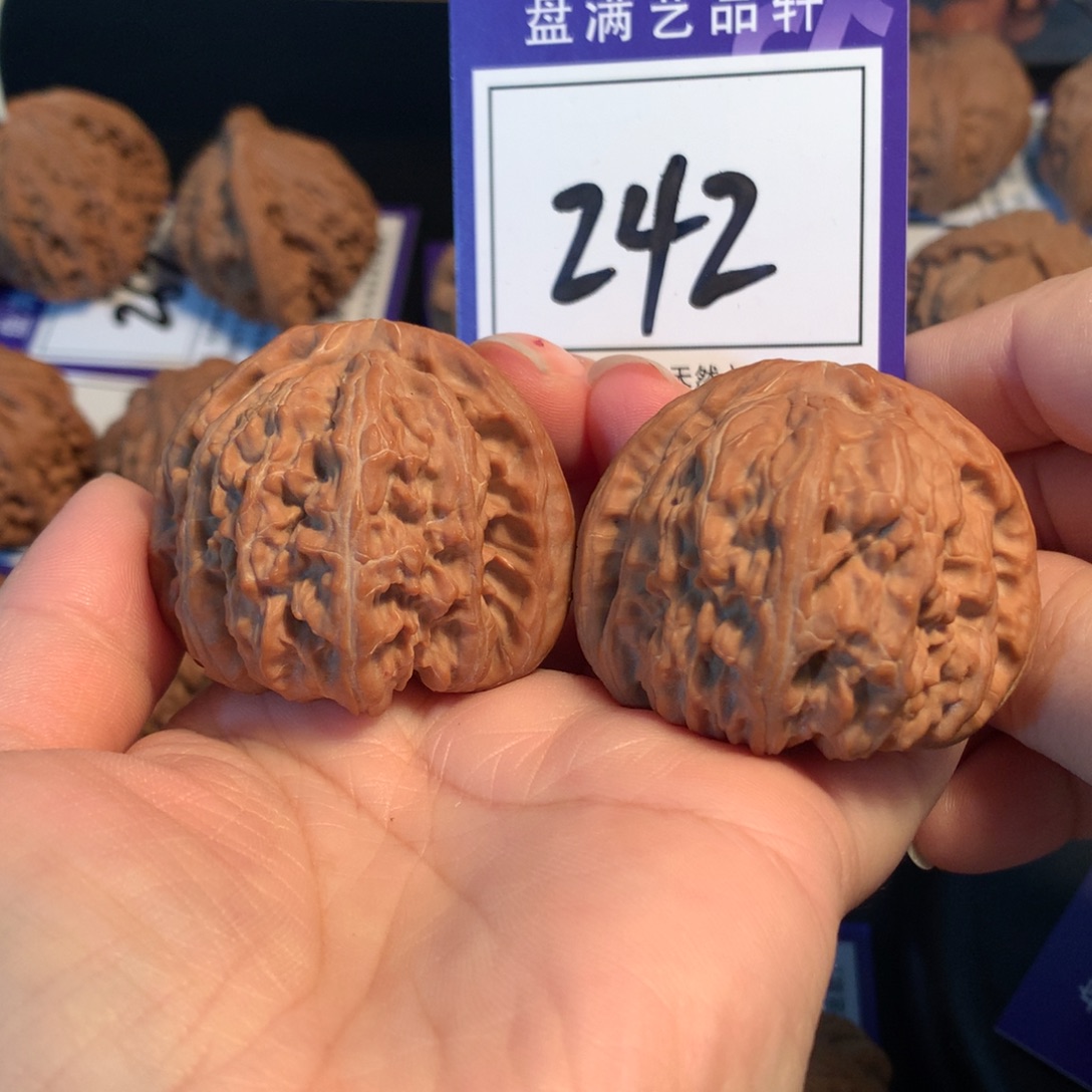 把件文玩核桃242白狮子4.5