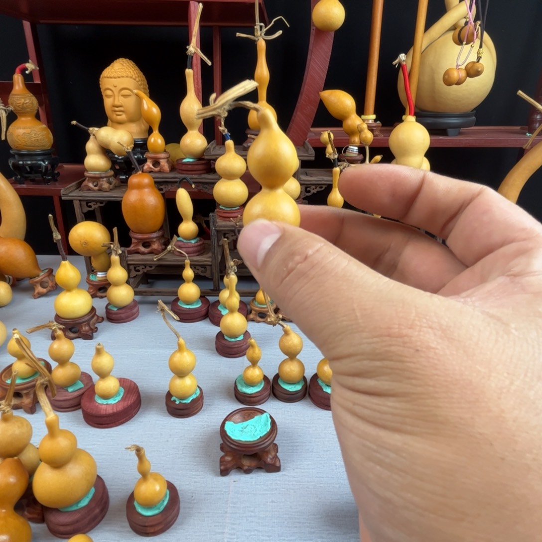 风***华藤木我的小可爱，一点也不像个女孩