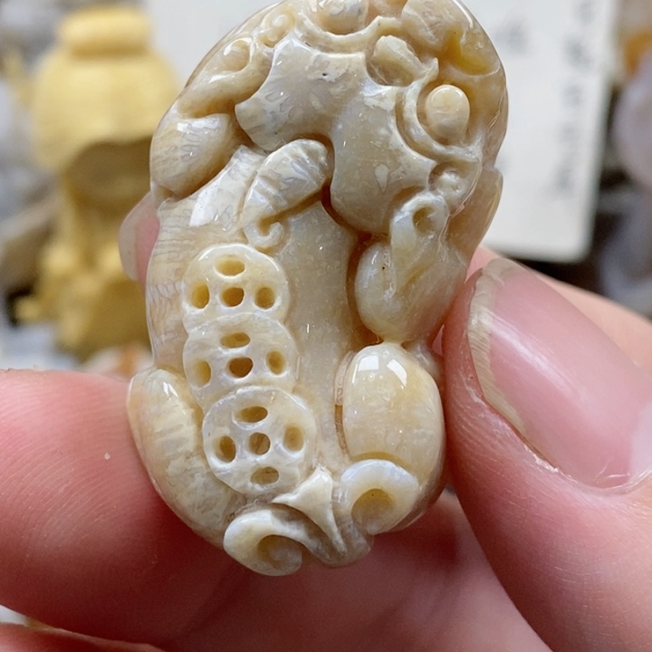 颈饰未镶嵌硅化珊瑚（珊瑚玉）