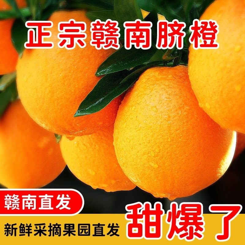 正宗赣南脐橙赣州果园彩箱10斤直发农家甜橙子现摘新鲜精品水果