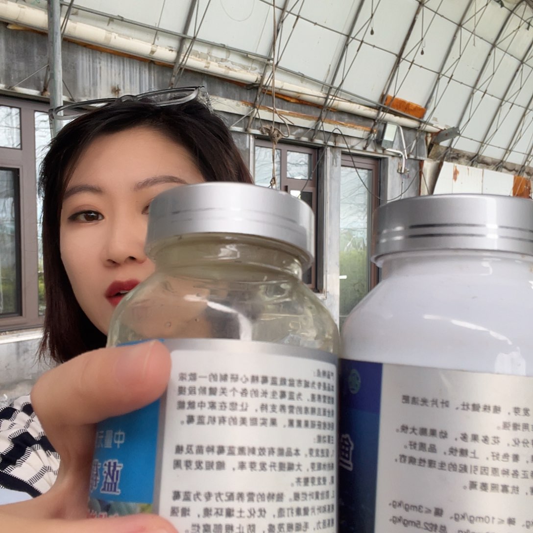 鱼蛋白3瓶送2瓶蓝莓伴侣