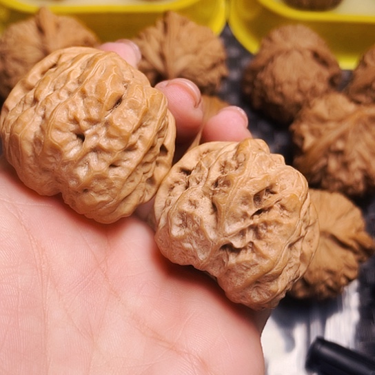文玩核桃39尺蛤蟆头