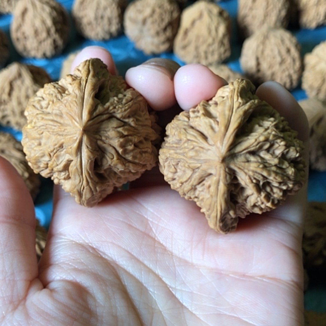 【闪购商品】文玩核桃把件一代将
