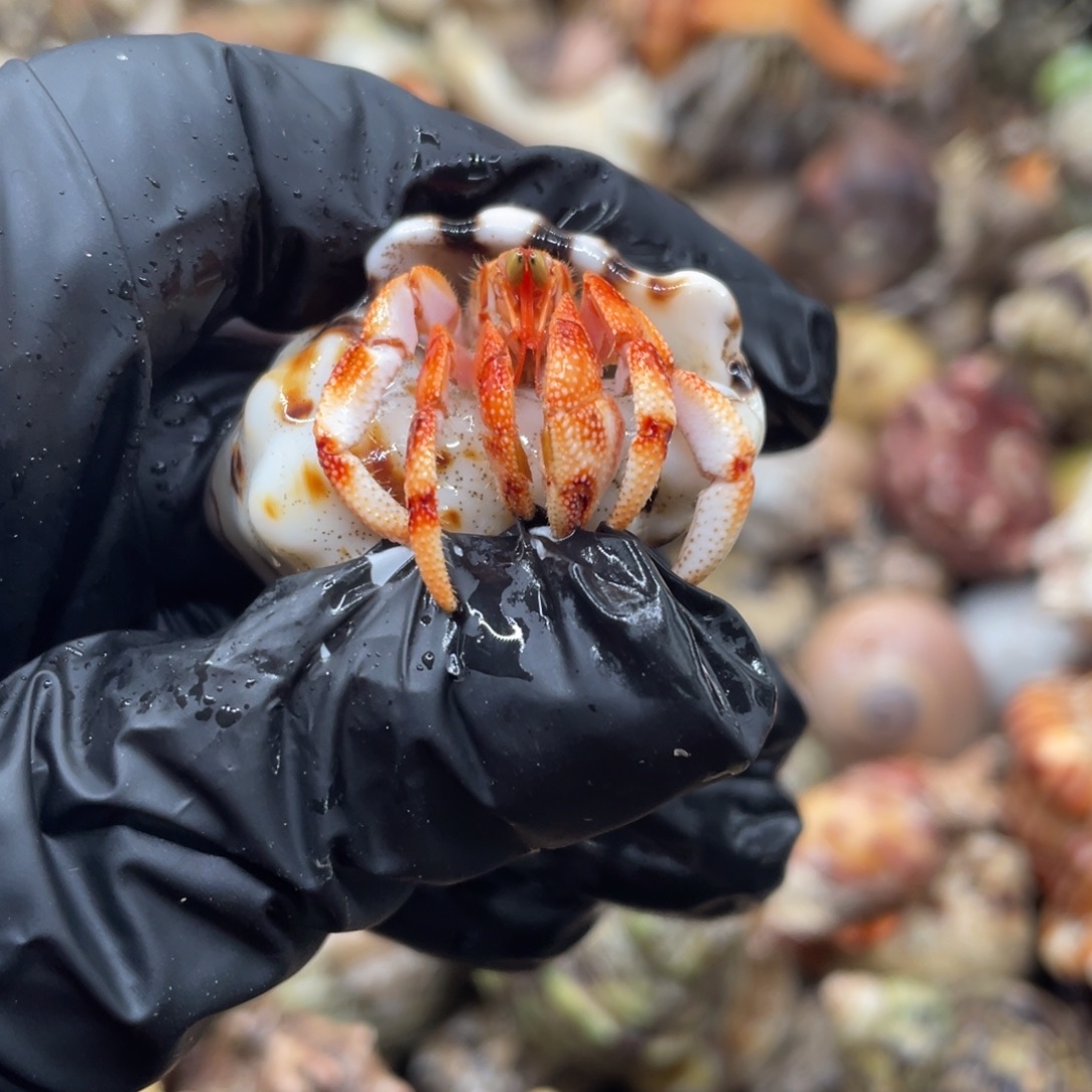 不退不换谢谢支持22