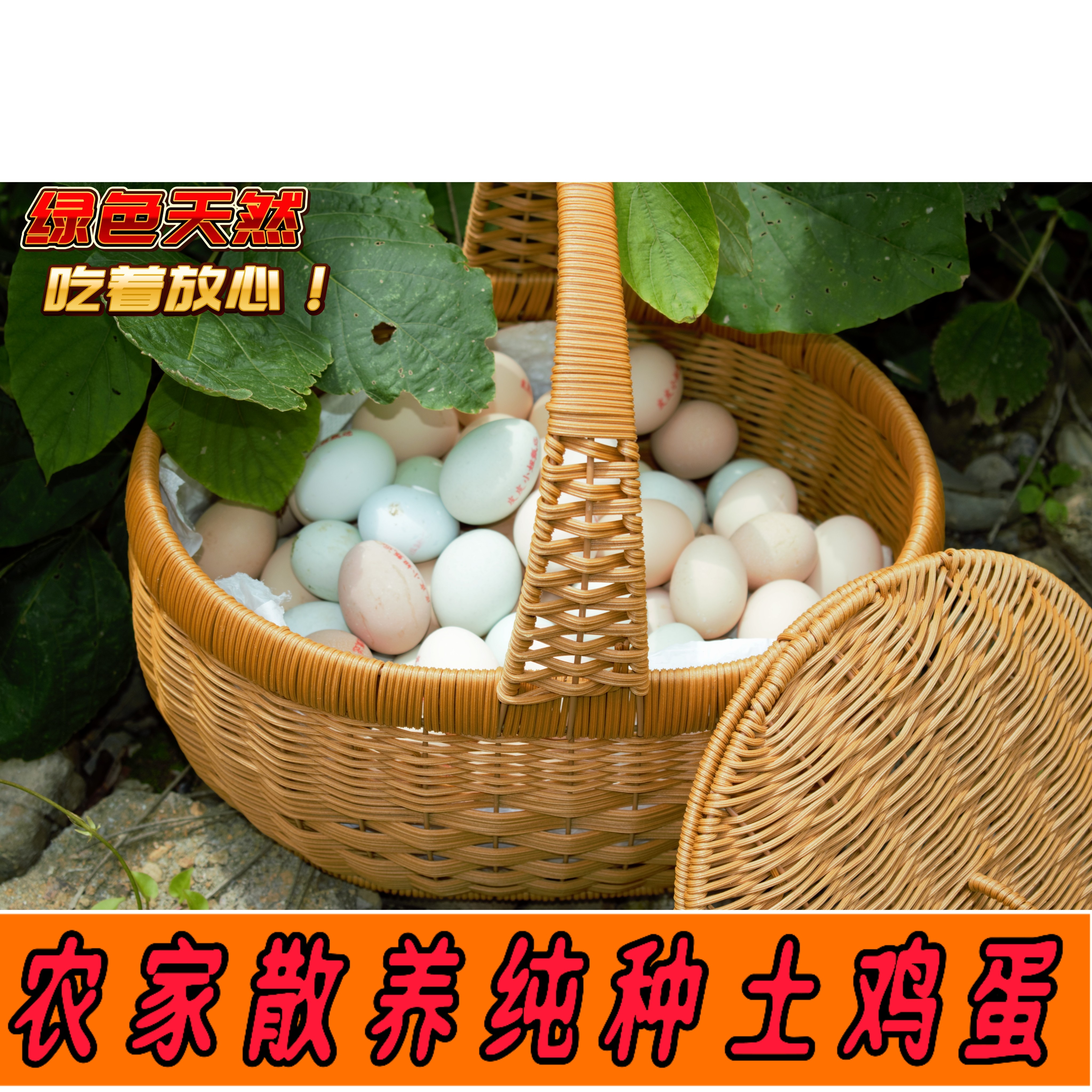 农村深山农家散养新鲜正宗土鸡蛋高海拔原生态
