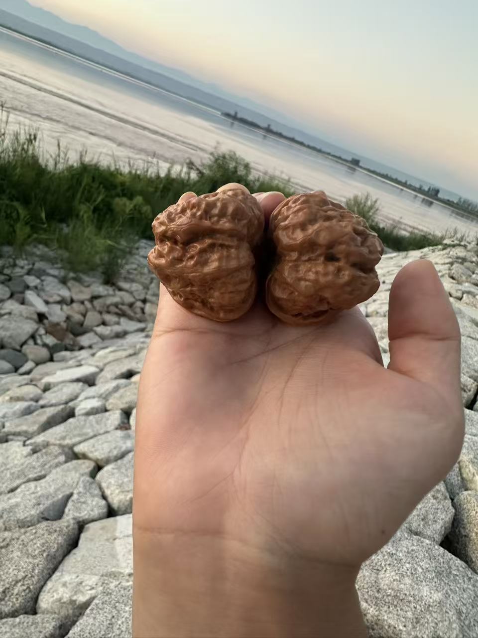 精品蛤蟆头文玩核桃收藏手把件