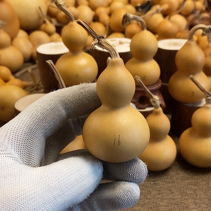 文玩葫芦 完美主义者 慎拍16