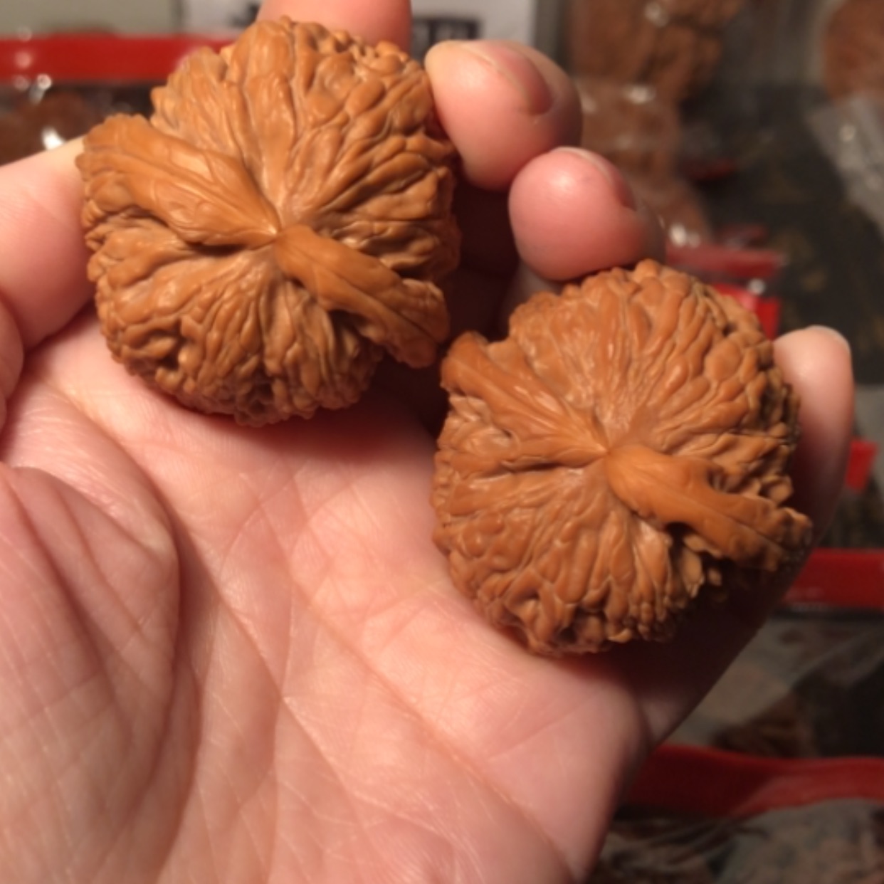 【闪购商品】文玩核桃把件白狮子40.5