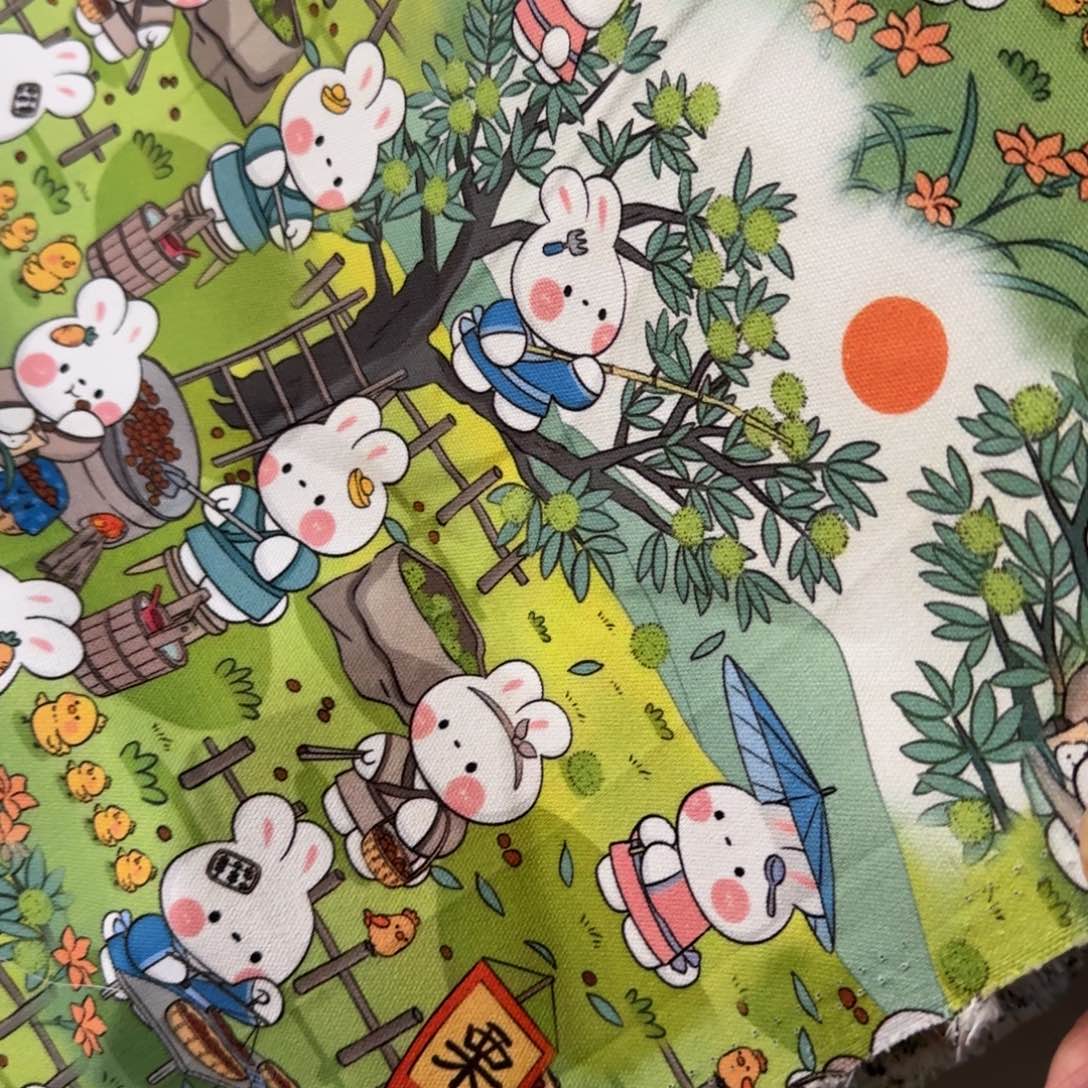 棉纯棉14安帆布1米价X1.1米宽B进口底