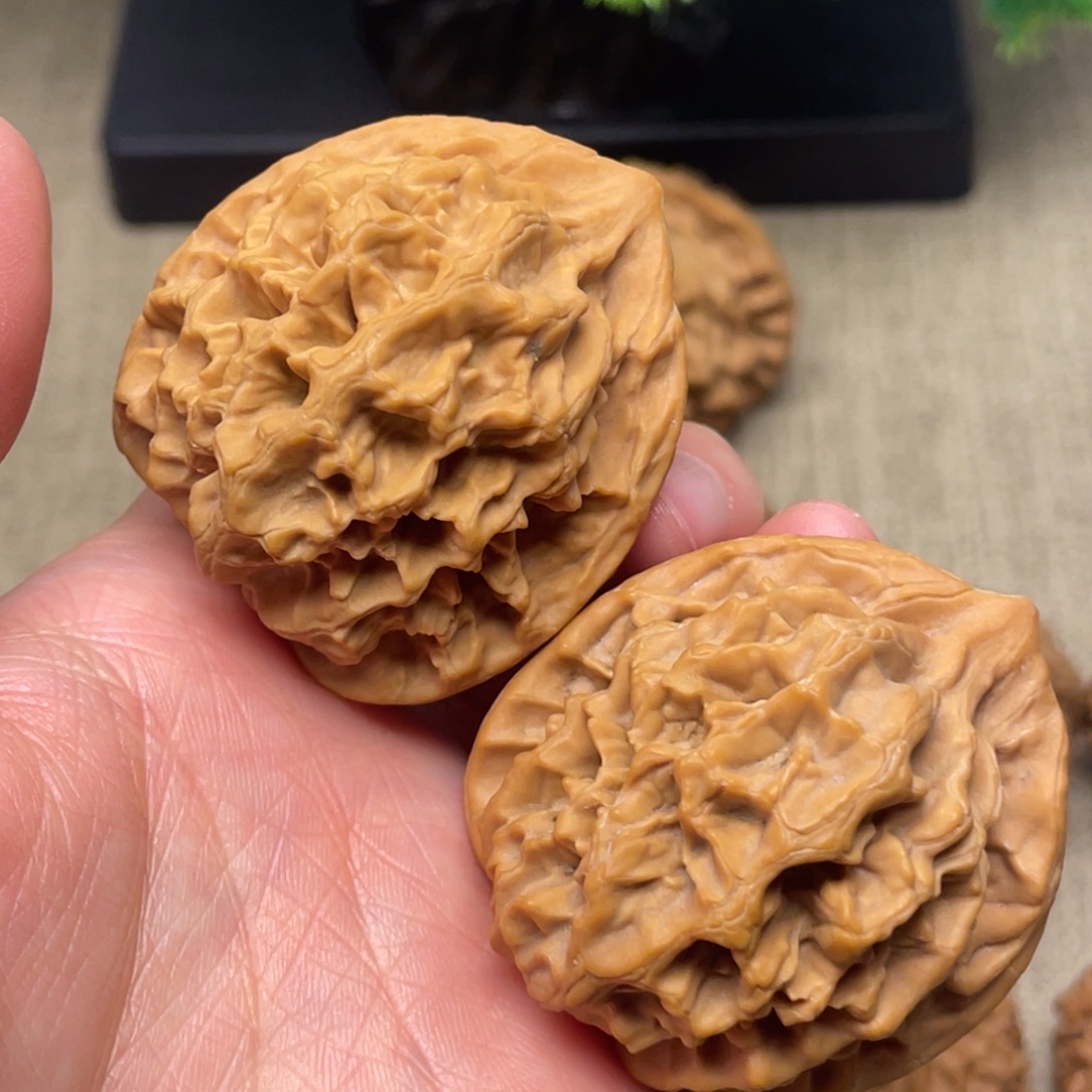 文玩核桃把件秦岭核桃19号