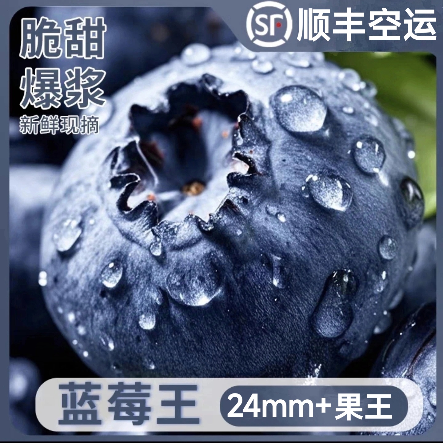 【蓝莓王】云南露天蓝莓脆甜新鲜现摘产地直发大果当季水果顺丰空运