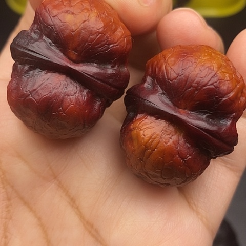文玩核桃把件38尺扶摇