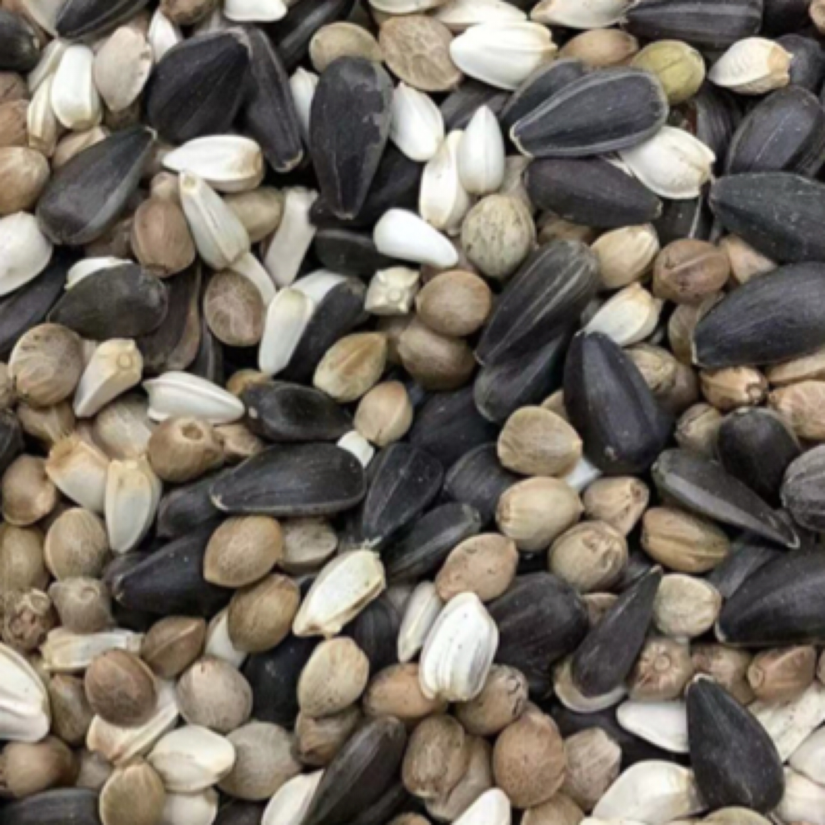 鹦鹉种子粮2500g（养殖场自用小太阳鹦鹉）