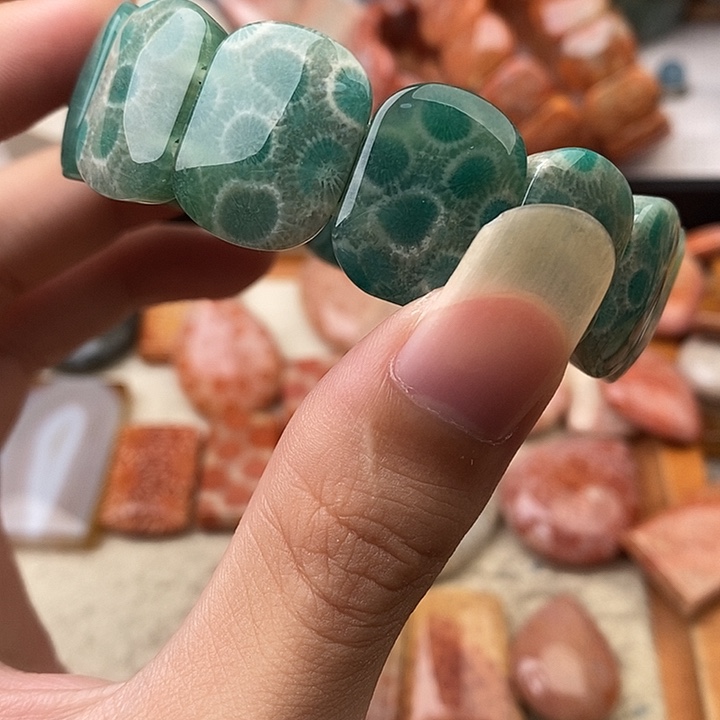 夏***8硅化玉（树化玉）未镶嵌颈饰