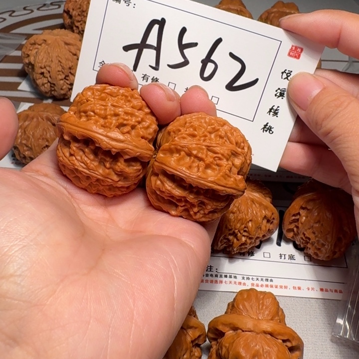 木质类42尺白狮子A562