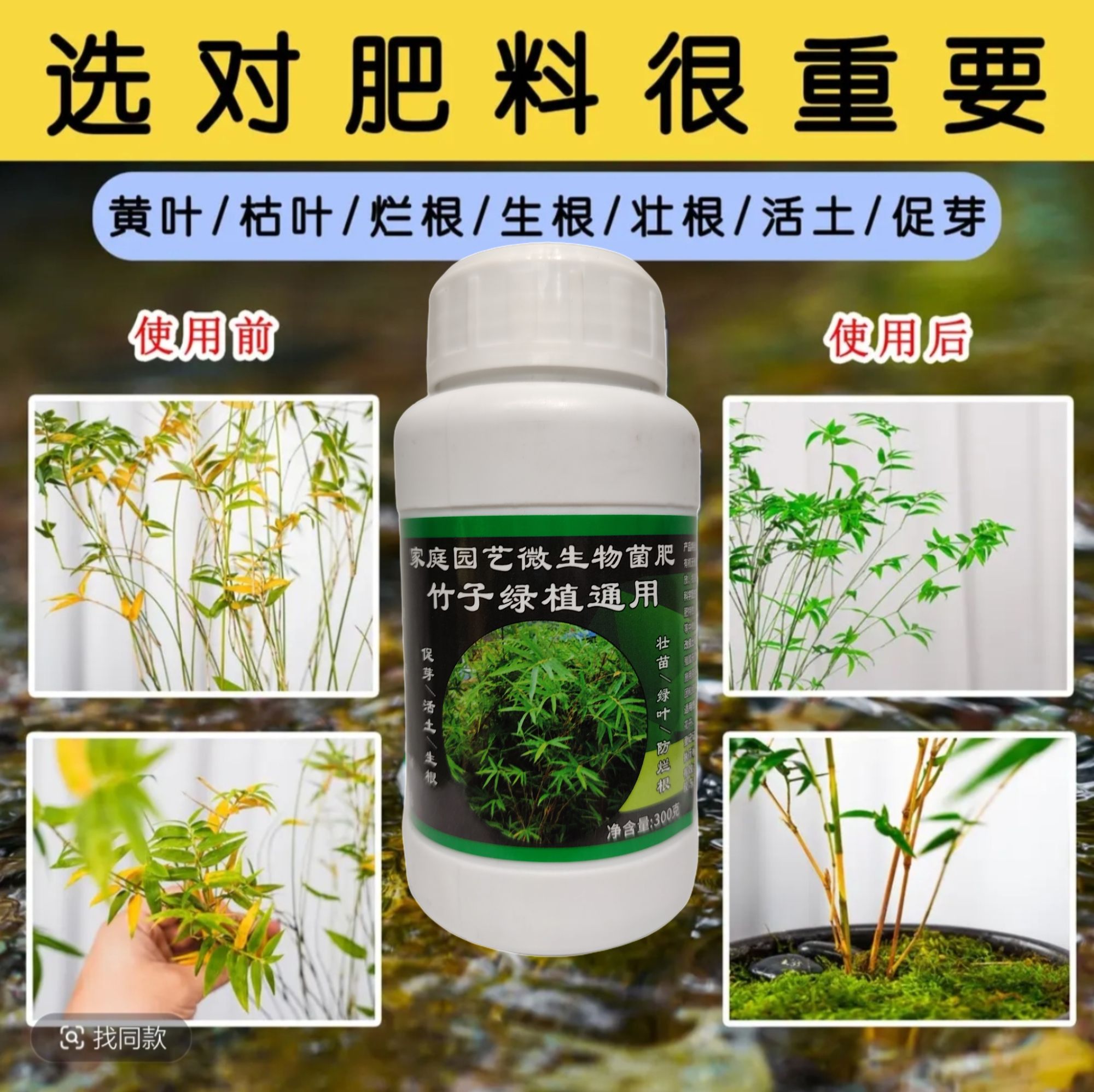竹子专用肥红观音竹簕竹米竹有机肥营养液颗粒肥肥料叶面肥