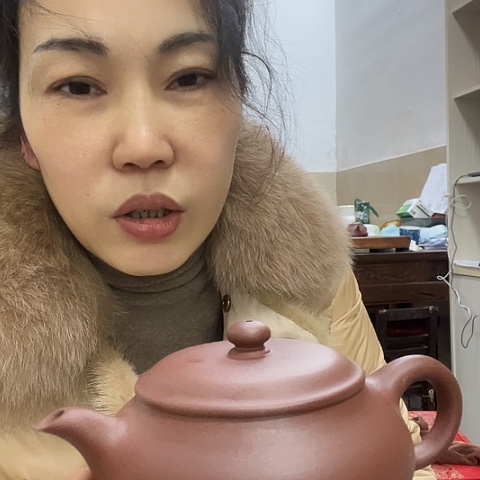 紫砂茶壶老紫泥名炉20c c