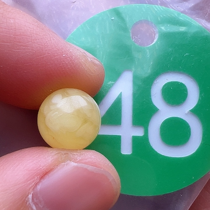 蜜蜡裸石未镶嵌皮点9.3m m