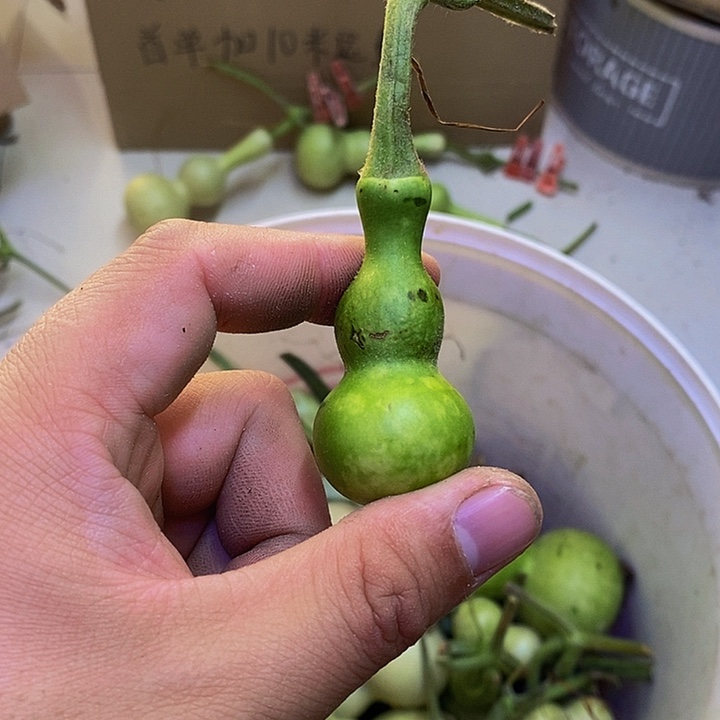 a****.长嘴哈哈哈哈哈哈哈哈哈哈哈哈