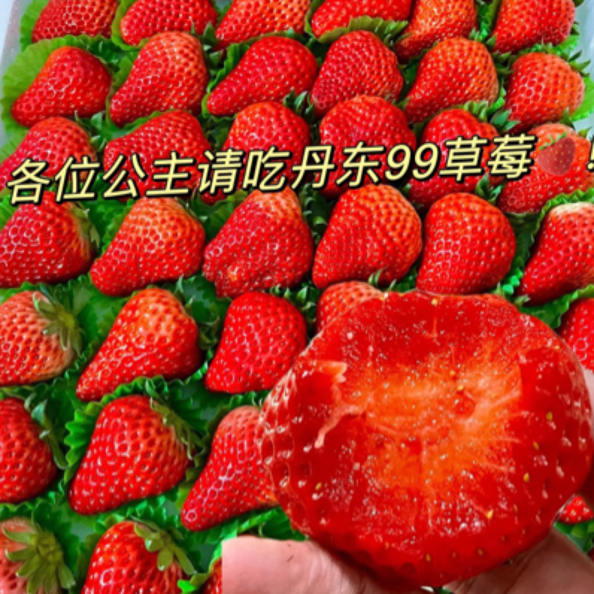 丹东久久大板草莓