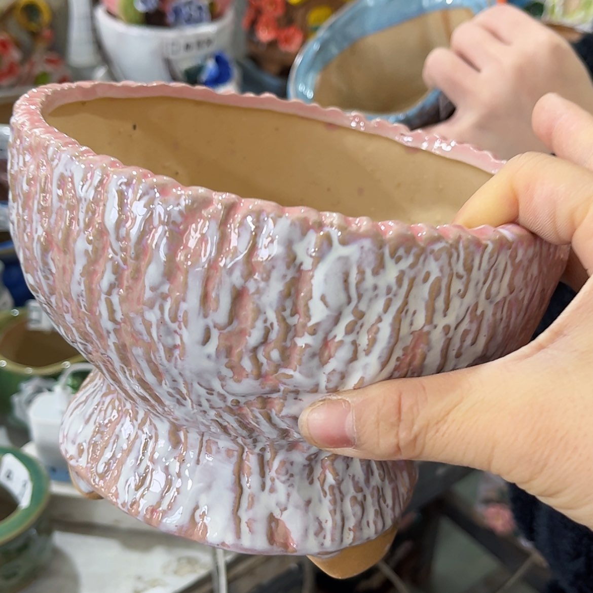 【闪购商品】红陶福利