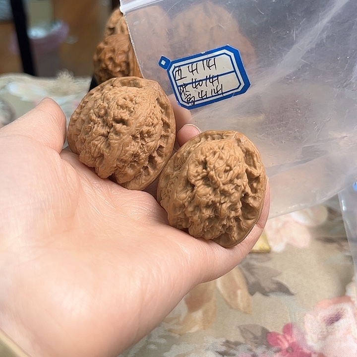 文玩核桃把件蚂蚁沟官帽