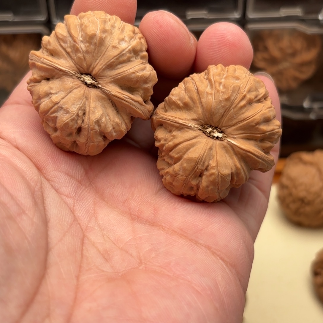 文玩核桃把件南瓜墩