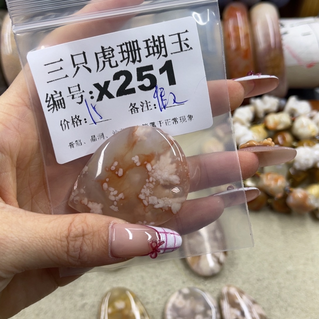 j***a硅化珊瑚（珊瑚玉）未镶嵌h