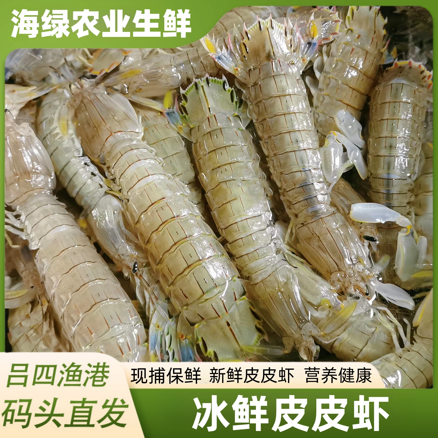 冰鲜皮皮虾冷链发货现捕速冻保存天然虾爬子3斤京东包邮