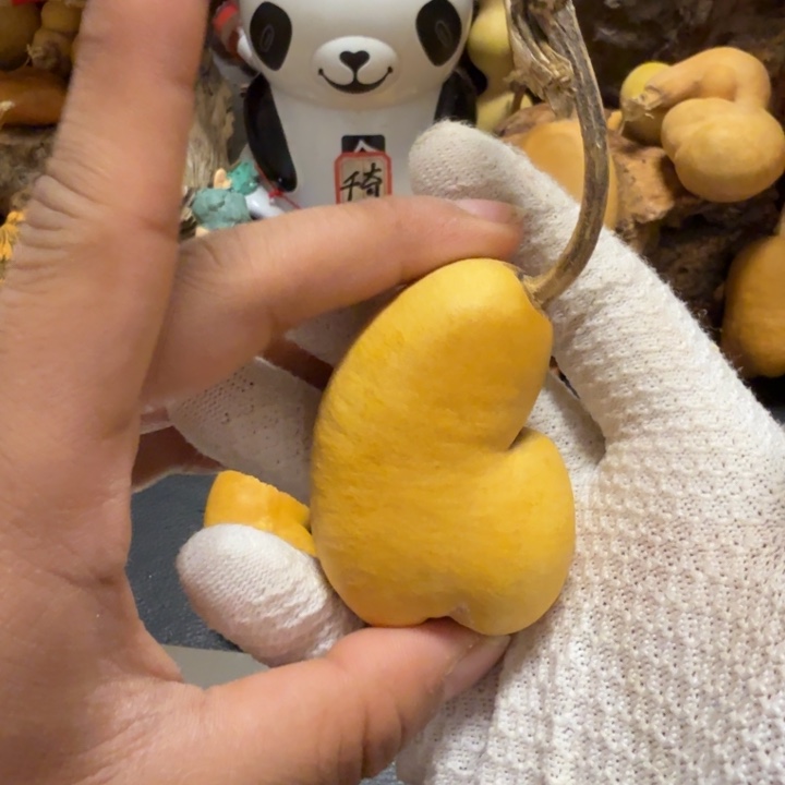 ~****色差打皮伤6666666