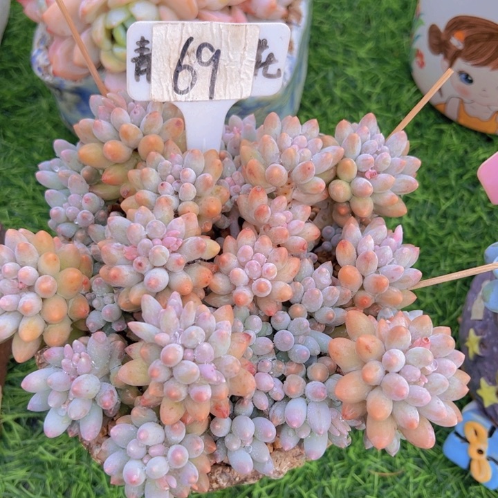 健健康康平平安安