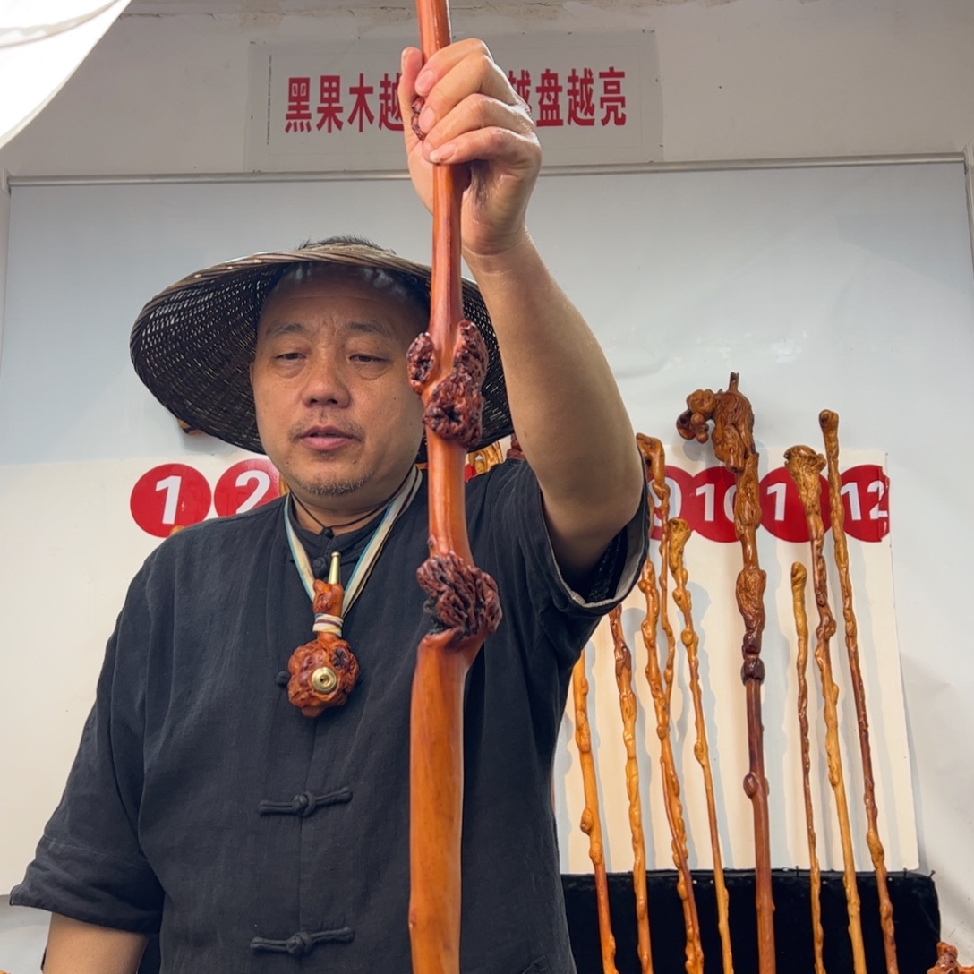 如***海其他黑果木黑果木070
