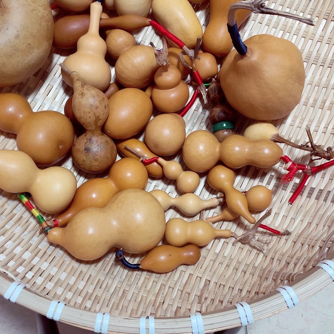 猫***气管理局和各职能单位对各